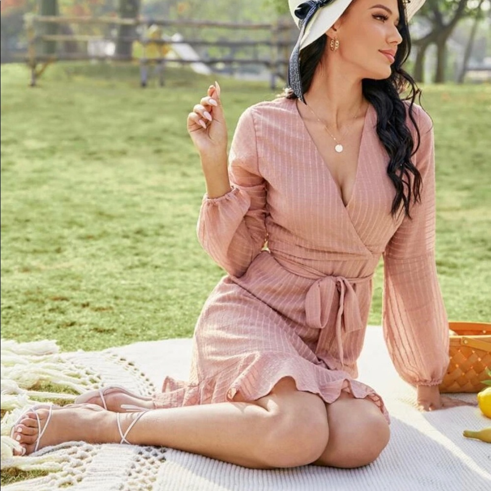 Blush Ruffle Dress - Picture 5 of 6